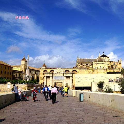 千年巨兽排行揭秘：谁才是最强王者