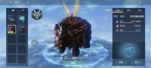 妄想山海荆熊位置分布攻略