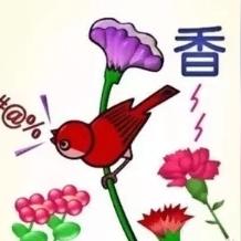 成语红包群第55关破解攻略