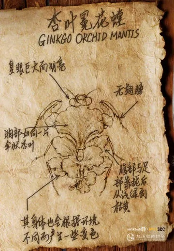 NS2食人花摄像头价格优！仅480p画质