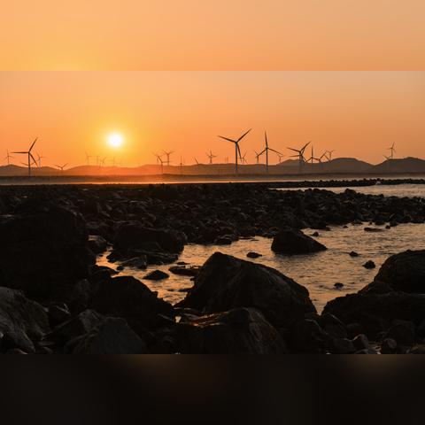 绯红之境家园攻略：家园玩法揭秘