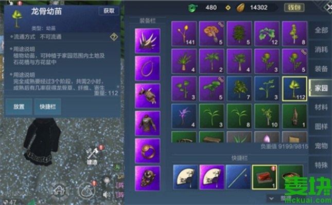 妄想山海龙骨草位置揭秘