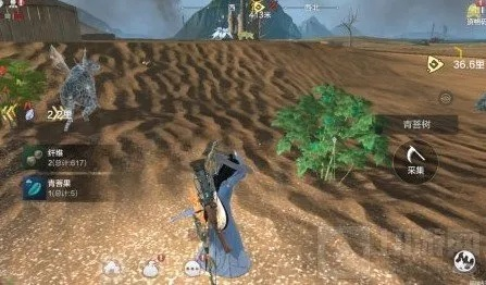 妄想山海龙骨草位置揭秘