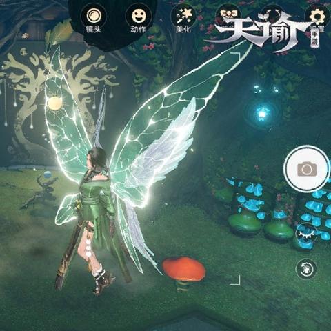 天谕手游海上寻宝攻略：任务流程详解