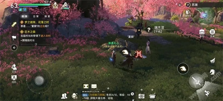 天谕手游：神秘花瓣坐标揭秘，刷新攻略