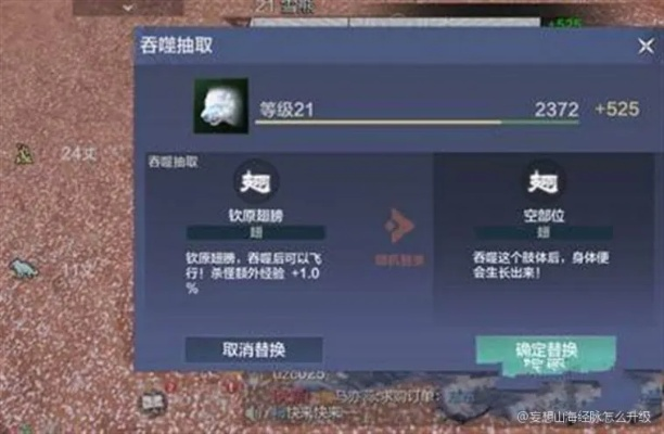 妄想山海经脉升级攻略：高效提升等级技巧