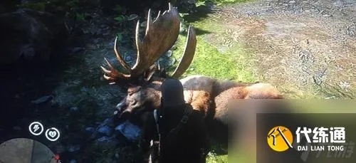 百年驼鹿攻略：山海驼鹿高效打法