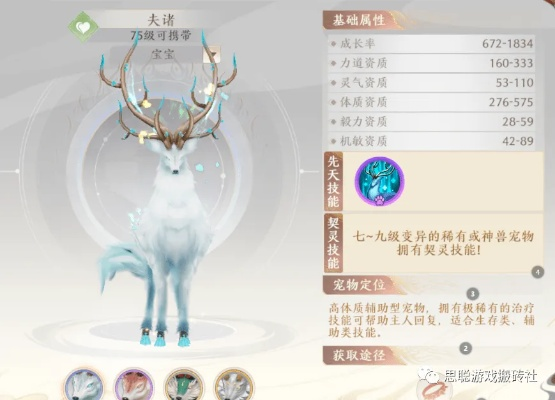 夫诸最佳搭配武将