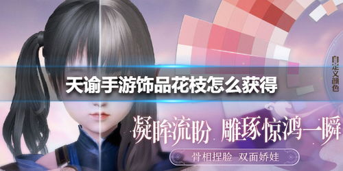 天谕手游花枝饰品获取攻略