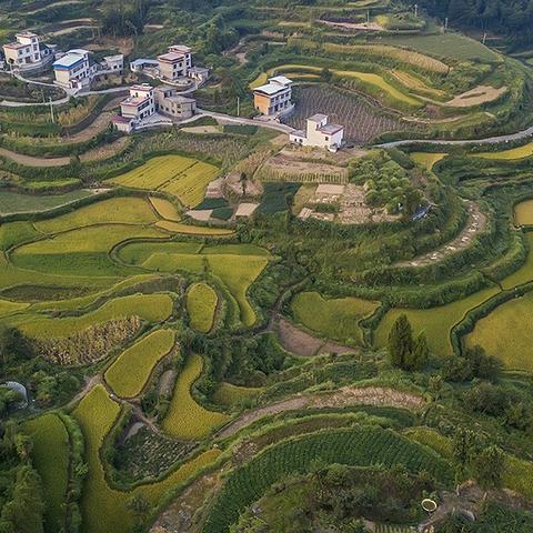 烟雨江湖佛牢镇压攻略，势力任务速成法