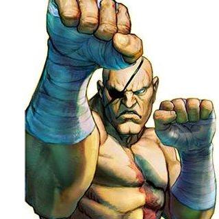 街霸对决沙加特技能加点攻略