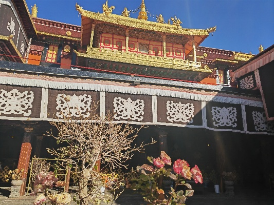 大雪山大昭寺支线任务攻略奖励揭秘