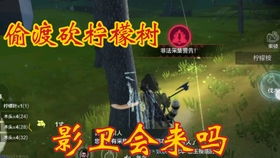 妄想山海柠檬叶获取途径