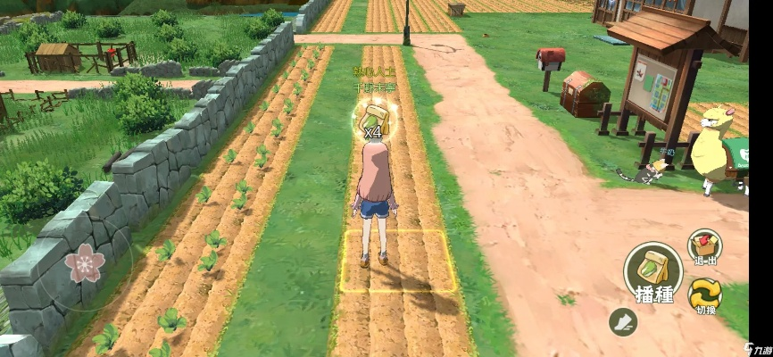 小森生活白菜种子种植技巧