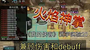 基于侠客火焰神掌的搭配攻略