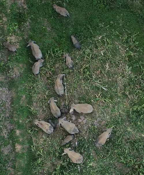 《谁也别想跑15关通关秘籍》