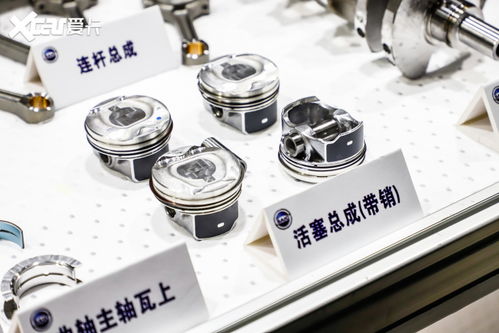 最强蜗牛特工坂本龙马攻略：坂本龙马选项解析