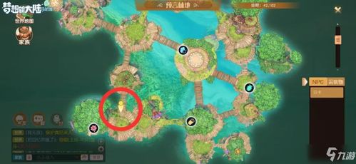 梦想新大陆卡级攻略分享