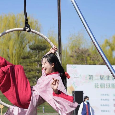 侠客花卉购买指南,花卉位置介绍 侠客花卉购买指南,花卉位置介绍