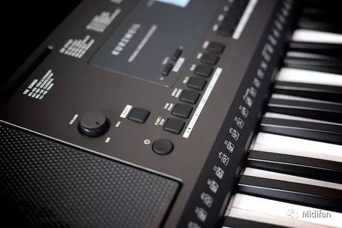 映月城电子姬甜心炸弹强度评测