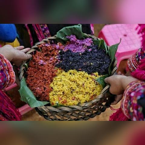 光遇雨伞先祖兑换一览