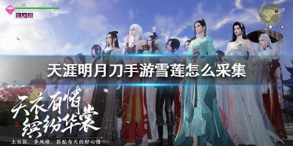 天涯明月刀手游雪莲花瓣获取攻略