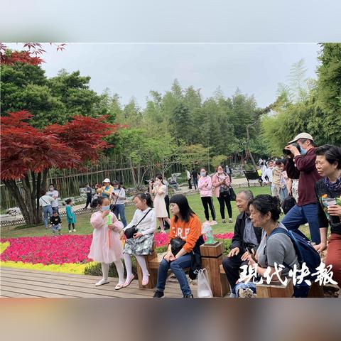 天涯明月刀手游千秋曲图鉴解锁方法