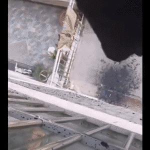 光遇地面撒泼动作揭秘，获取方法核心解析