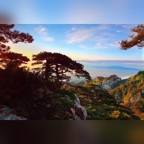 侠客掌门币兑换攻略