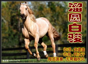 侠客汗血宝马获取途径