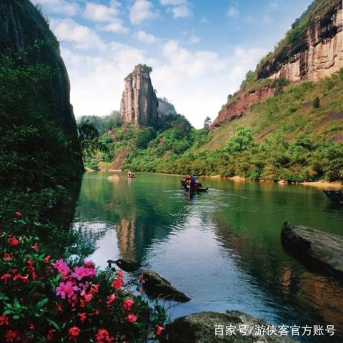 侠客松茸功效揭秘 松茸作用详解