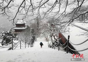 侠客降雪天气介绍：降雪有何妙用