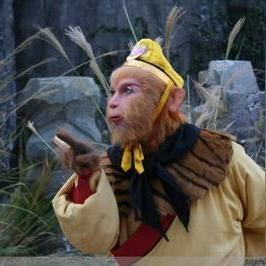 侠客宠物助战攻略，高效宠物搭配技巧