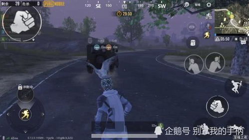 侠客宠物快速上战场攻略