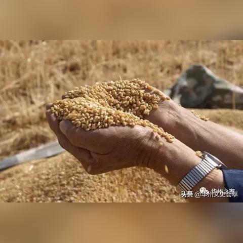 侠客天阴教日月宝典修炼指南