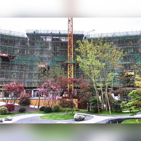 天涯明月刀手游离玉堂好感度提升攻略