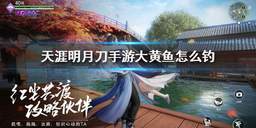 天涯明月刀手游大黄鱼钓法揭秘 大黄鱼分布位置