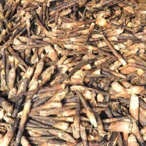 天涯明月刀手游竹笋焖肉制作教程