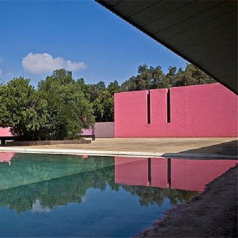 最强蜗牛壳涂料合成与获取