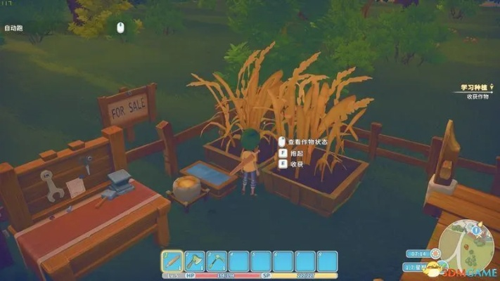 波西亚时光伐木场任务攻略秘籍