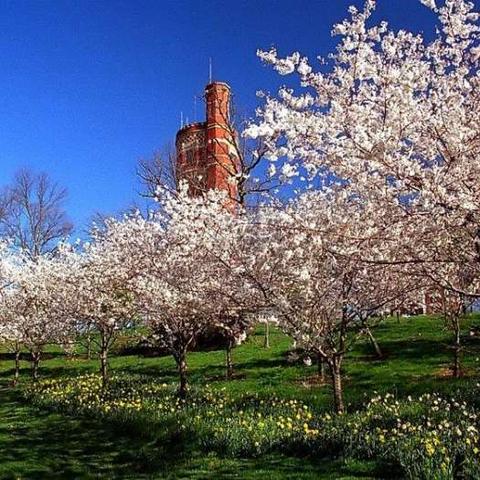 基于另一个伊甸25章攻略：剧情通关全解析