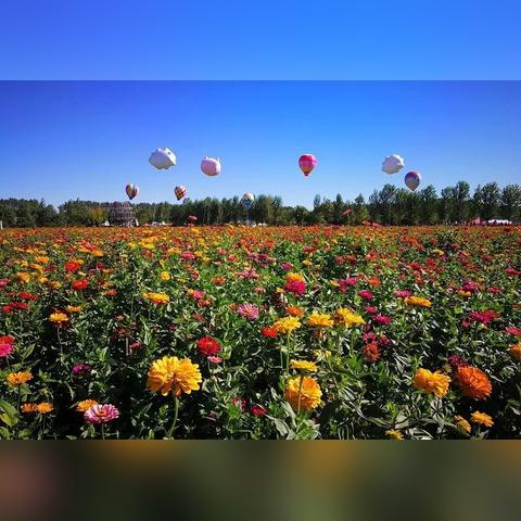 基于另一个伊甸第11章攻略 剧情通关流程分享