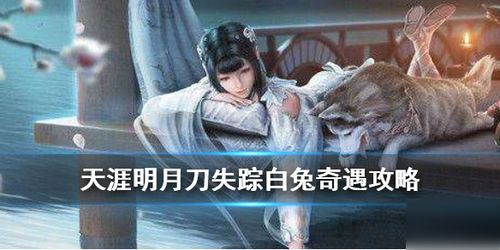 天涯明月刀手游失踪白兔奇遇任务攻略