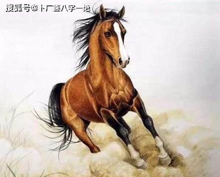 鸿图育马攻略：马匹获取方法