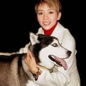 天涯明月刀手游哈士奇获取方法攻略