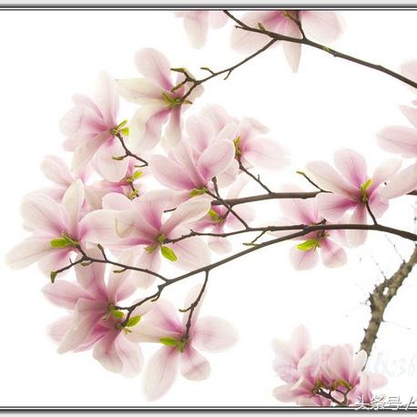 天涯明月刀手游皇宫地图位置