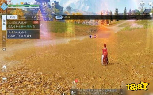 天涯明月刀手游机关小鸟任务攻略