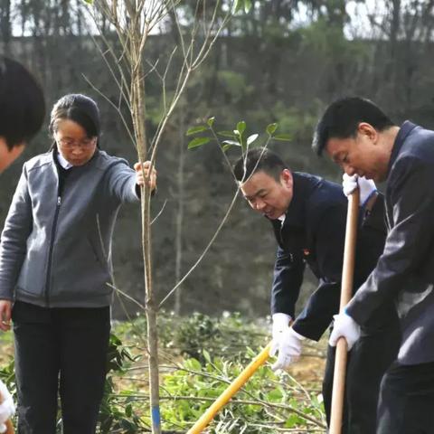 天涯明月刀手游机关木鸟触发方法