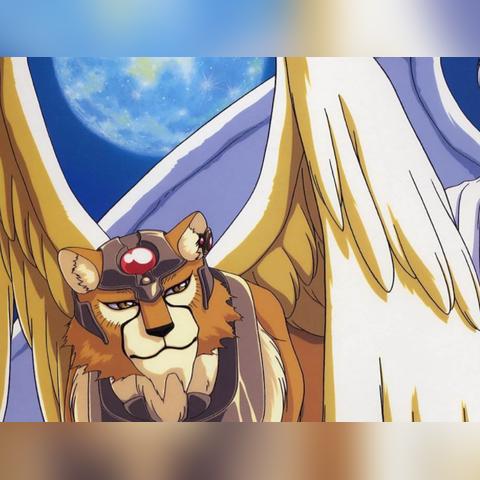 魔法少女升级攻略：可鲁波材料技能全解析