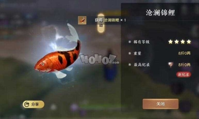 天涯明月刀手游锦鲤坠获取攻略